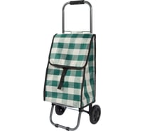 Тележка с сумкой Рыжий кот D203 Green, 25кг 0 93581