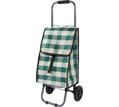 Тележка с сумкой Рыжий кот D203 Green, 25кг 0 93581