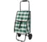Тележка с сумкой Рыжий кот D203 Green, 25кг 0 93581 4