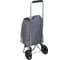 Тележка + сумка VETTA до 30 кг, 30x22x86 см, 21 л, брезент, колеса ЭВА d14,5 см, 1 цвет 467-249 4