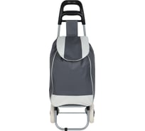 Тележка+сумка VETTA до 30 кг, 36x26x94 см, 28 л, брезент, колеса ЭВА d16 см, 1 цвет 467-248