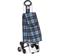 Сумка-тележка хозяйственная Perilla Royal 403B 58021