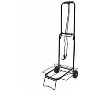 Багажная тележка ООО "Аквапласт" DT-02 грузоподъемность 30 кг 0R-00006491