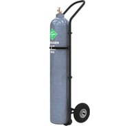 Тележка для баллона c литыми колёсами 250мм Gigant ТГБ-001