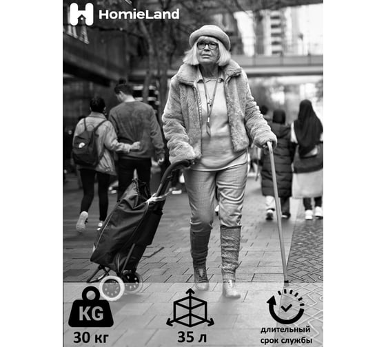 Сумка-тележка HomieLand СТ-7 00-00015476