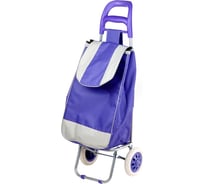 Хозяйственная сумка-тележка PERFECTO LINEA 30 кг 42-307022