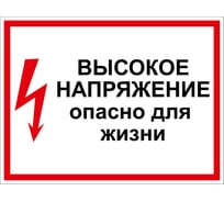 Дорожный знак 2.1.7 ПРОТЭКТ Высокое напряжение. Опасно для жизни, 280х210 мм, пластик, пленка СВП Знак 2.1.7
