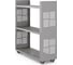 Стеллаж мобильный Kobor SМ2-90/30 aluminum/chicago 221486 1