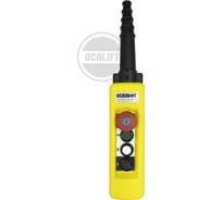 Пульт управления OCALIFT 2 кнопки, 1 скорость, стоп, ключ, старт, IP65 XAC-A471Y