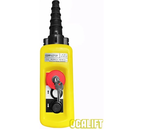 Пульт управления OCALIFT 2 кнопки, 1 скорость, стоп, ключ, IP55 A2713Y COPP-A2713Y
