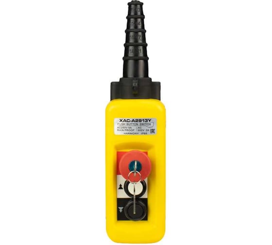 Пульт управления OCALIFT 2 кнопки, 2 скорости, стоп, ключ, IP55 A2913Y COPP-A2913Y