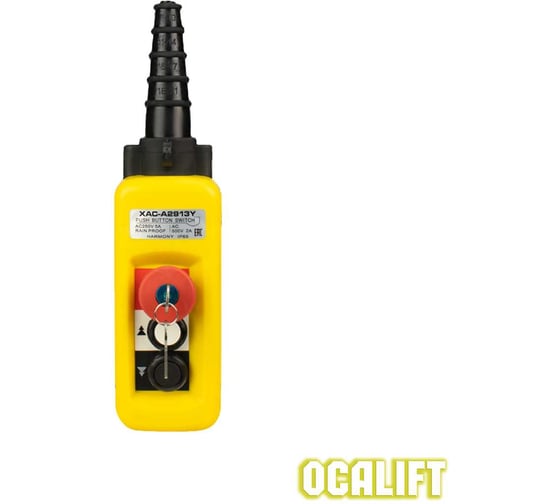 Пульт управления OCALIFT 2 кнопки, 2 скорости, стоп, ключ, IP55 A2913Y COPP-A2913Y