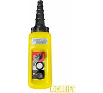 Пульт управления OCALIFT 2 кнопки, 2 скорости, стоп, ключ, IP65 A2913Y XAC-A2913Y