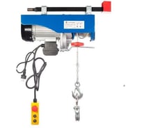 Таль электрическая TOR PA 250/500 кг, 20/10 м (серия G) 1025446