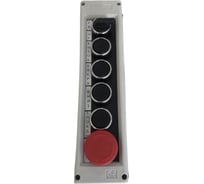 Пульт управления EMAS PK6SB2