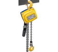 Таль ручная TOR рычажная 1,0т 9м ТРШСРп 1017803