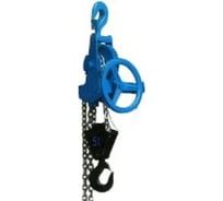 Ручная червячная стационарная таль TOR ТРЧ 1 т, 3 м 101132