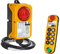 Радиоуправление TELECRANE a24-8dpro, пульт 8 кнопок, 2 скорости, питание ac28-456v 00-00004054