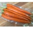 Вакуумный упаковщик Caso GourmetVAC 280 9