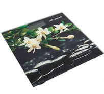 Напольные электронные весы Аксинья КС-6006 Гармония, 180 кг, 26х26 см 0R-00005496