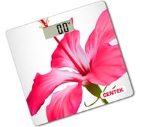 Напольные электронные весы Centek Flowers 180кг CT-2412