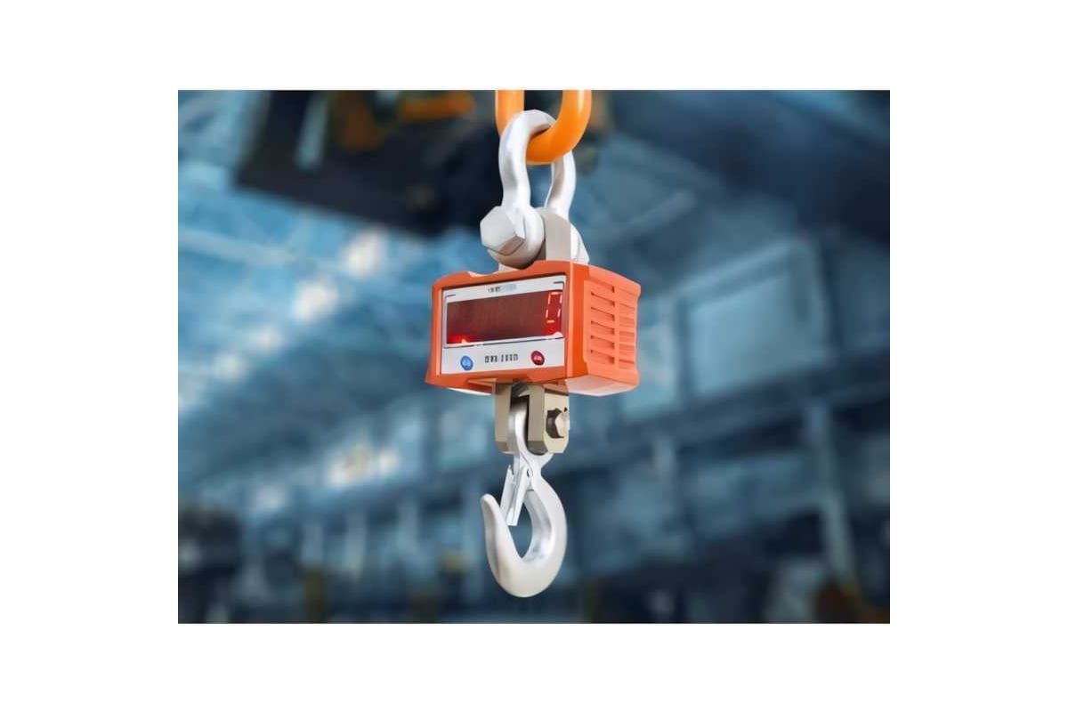 Крановые весы ВЭК-2000 МИНИ 1009 - выгодная цена, отзывы ...