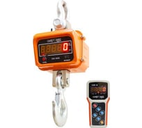 Крановые весы ВЭК-3000 с дублированием 1023