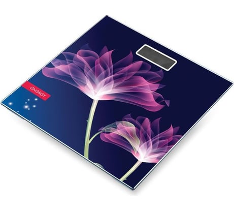 Напольные электронные весы ENERGY EN-419G 3843 003843