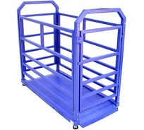 Весы Middle МП 300 ВЕДА Ф-1 50/100, 1500x800 мм "Живой вес" 07 1141000249