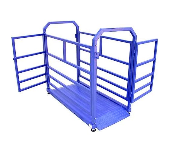 Весы Middle МП 300 ВЕДА Ф-1 50/100, 1500x800 мм "Живой вес" 07 1141000249