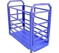 Весы Middle МП 300 ВЕДА Ф-1 50/100, 1500x800 мм "Живой вес" 12 1141000155