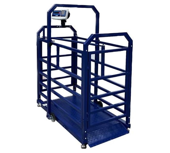 Весы Middle МП 300 ВЕДА Ф-1 50/100, 1500x800 мм "Живой вес" М 07 1141000240