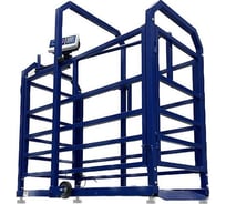 Весы Middle МП 300 ВЕДА Ф-1 50/100, 1500x800 мм "Живой вес" М 12 1141000169