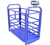 Весы Middle МП 600 ВЕДА Ф-1 100/200, 1500х800 Живой вес 12 1141000156