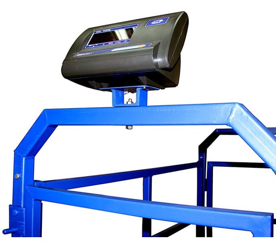 Весы Middle МП 600 ВЕДА Ф-1 100/200, 1500х800 Живой вес 12 1141000156