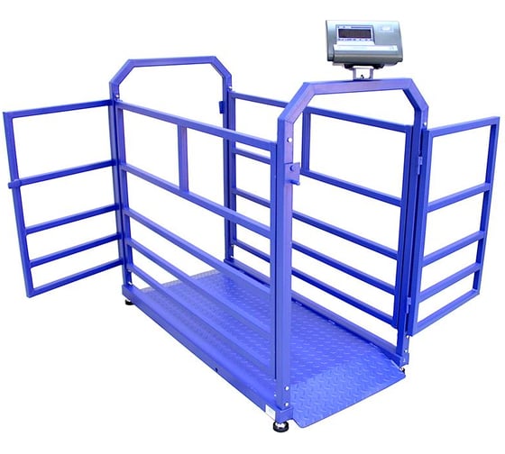 Весы Middle МП 600 ВЕДА Ф-1 100/200, 1500х800 Живой вес 12 1141000156