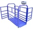 Весы Middle МП 600 ВЕДА Ф-1 100/200, 1500х800 Живой вес 12 1141000156 5