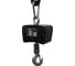 Весы крановые Shtapler KW 100 кг 71060131 8