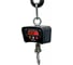 Весы крановые Shtapler KW 200 кг 71060132 6