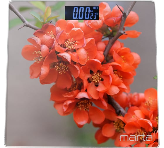 Напольные весы MARTA MT-1678 весенние цветы, сенсор, встроенный термометр 29754