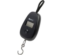 Электронный безмен Garin Точный Вес DS1 BL1 14165