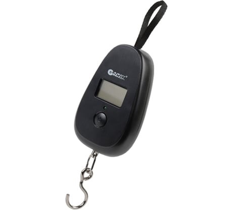 Электронный безмен Garin Точный Вес DS1 BL1 14165