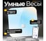 Умные весы напольные FUTULA Scale 4 (Rainbow) 00-00214787 2