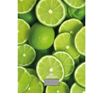 Весы кухонные Добрыня DO- лайм 3011L