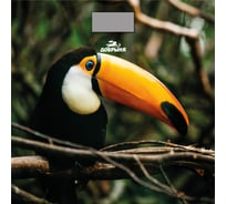 Весы Добрыня DO - (180кг) элект. (Тукан) 3006R