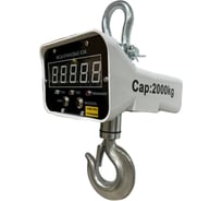 Весы электронные крановые ELEMENT ВЭК 2т 924001