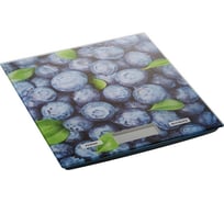 Настольные электронные весы Delta KCE-26 Черника : 5 кг, стекло 0R-00001715