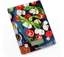 Настольные электронные весы ВАСИЛИСА ВА-016 Моцарелла : 5 кг, стекло / 0R-00006719