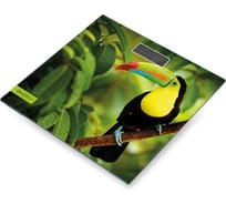 Электронные напольные весы ENERGY EN-419L 101257