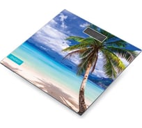 Электронные напольные весы ENERGY EN-419P 101260